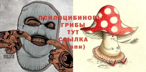 Альфа ПВП Алексин