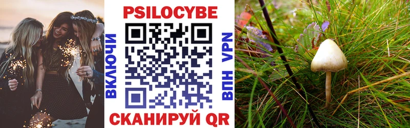 Галлюциногенные грибы Cubensis MEGA сайт Шатура