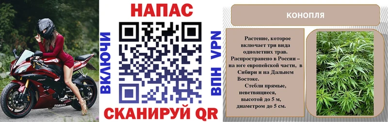 ссылка на мегу ТОР  наркота  Шатура  Конопля сатива 